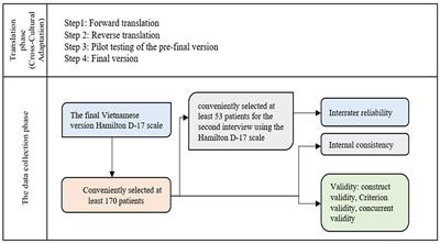 Reliability and validity of the Vietnamese version of the Hamilton D-17 scale